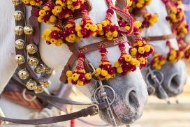 Horses adorned with flowers in the Santa Barbara Old Spanish Days Parade